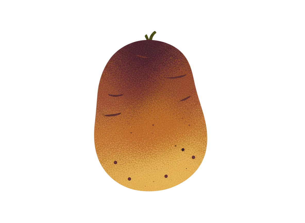 Potato